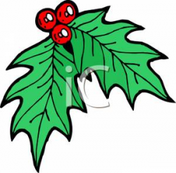 Cartoon of Holly and Berries - Royalty Free Clipart Picture