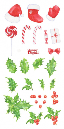 Holly clipart Christmas berries watercolor Handpainted candy ...