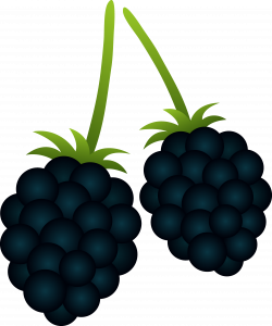 Marvelous Berry Clipart Two Blackberries Free Clip Art - cilpart