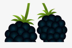 Berry Clipart Blackberry Bush Pencil And In Color Berry ...
