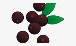 Berries Clipart One Blueberry - Transparent Berries Clip Art ...