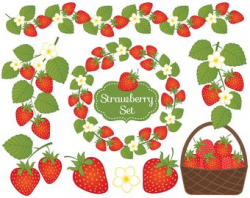 Berry clipart | Etsy