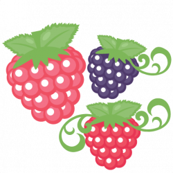 28+ Collection of Berries Clipart Transparent | High quality, free ...