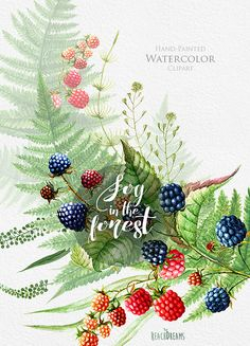 Berries Watercolor ClipArt. Hand Drawn Blueberry, Blackberry, DIY ...