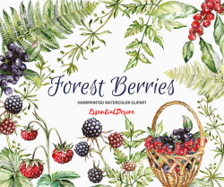 Watercolor Forest clipart, Berries clipart, Basket clipart, DIY ...