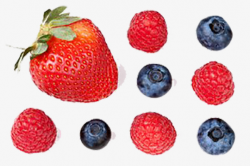 A Berry, Strawberry, Blueberry, Hongmei PNG Image and Clipart for ...