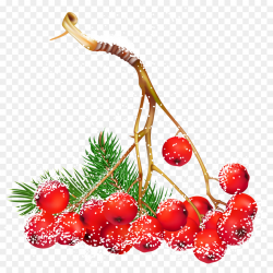 Christmas Clip Art clipart - Illustration, Fruit, Strawberry ...