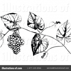 Berries Clipart #1115165 - Illustration by Prawny Vintage