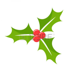 Christmas berries clipart