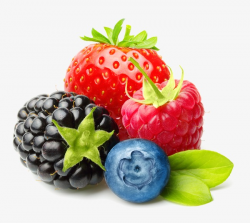Fruit Combo, Strawberry, Raspberry, Blueberry PNG Image and Clipart ...