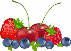 28+ Collection of Mixed Berry Clipart | High quality, free cliparts ...