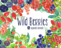 Wild berries | Etsy