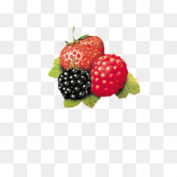 Berry PNG Images | Vectors and PSD Files | Free Download on Pngtree