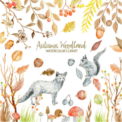 Watercolor Clipart - Autumn Woodland, fox, squirrel, autumn leaves ...