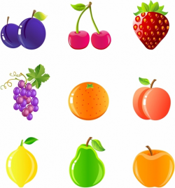 Fruit and nuts free vector download (2,253 Free vector) for ...