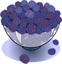 Image: Blackberries | Food Clip Art | Christart.com