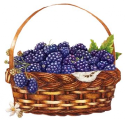 156 best Clip Art Of Fruit & Vegetables images on Pinterest ...