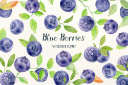 Watercolor Clipart Blue Berries, blueberries, botantical ...