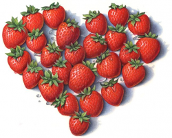 36 best Berry Illustrations for Packaging images on Pinterest ...