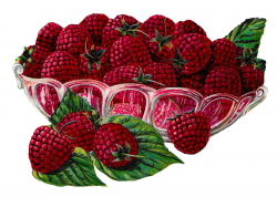 Antique Images: Royalty Free Raspberry Fruit Bowl Image Transfer ...