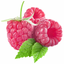 Large Raspberries PNG Clipart | Gallery Yopriceville - High-Quality ...