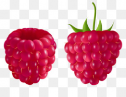 Berry PNG and PSD Free Download - Smoothie Strawberry juice ...