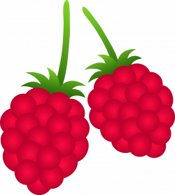 Two Raspberries - Free Clip Art