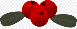 Berry Clip art - berries png download - 2400*861 - Free Transparent ...