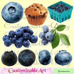 Blueberry Clipart Digital Blueberries Clip Art Printable Realistic ...