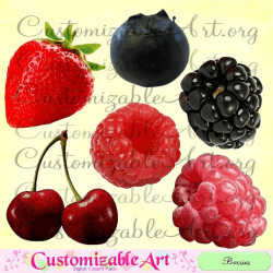 Berry Clipart Digital Berries Strawberry Blueberry Raspberry