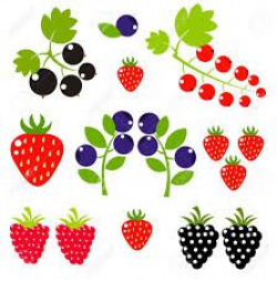 Image result for fruit summer berries clipart | Water | Pinterest ...