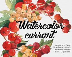 Watercolor currant, red berries clipart, summer clipart, juicy ...