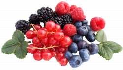 Berry PNG HD Transparent Berry HD.PNG Images. | PlusPNG
