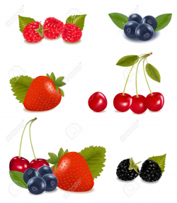 Berry clipart sour food - Pencil and in color berry clipart sour food