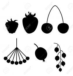 Berry clipart currant - Pencil and in color berry clipart currant