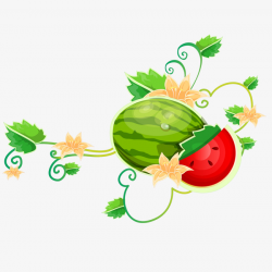 Melon Vine PNG Images | Vectors and PSD Files | Free Download on Pngtree