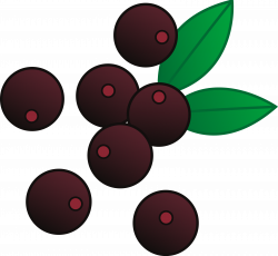 Berry Cartoon Clipart