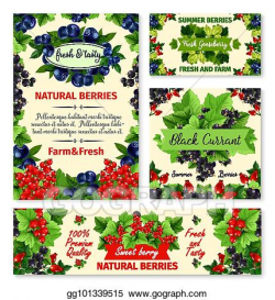 Vector Clipart - Berry summer fruit banner and poster template set ...