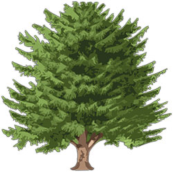 Free Animated Trees - Tree Clipart - Flowers