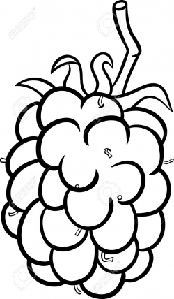 Blackberry Clipart Black And White - Letters