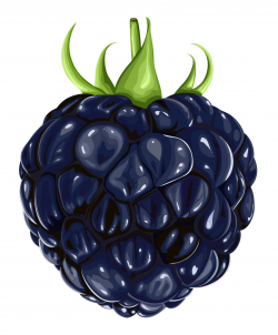 Blackberry Fruit PNG Clipart Gallery Yopriceville High Quality Showy ...