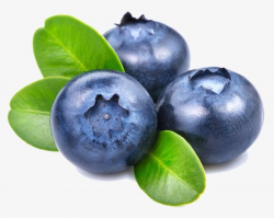Blueberry, Fruit, Food PNG Transparent Clipart Image and PSD ...