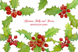 Watercolor Christmas Holly Berry ~ Illustrations ~ Creative Market