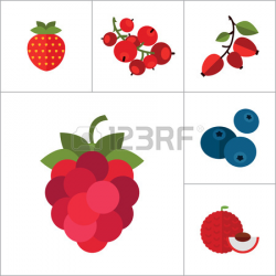 Berry Clipart Blackcurrant