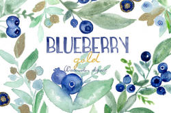 Blueberry gold watercolor clipart hand drawn. forest berry