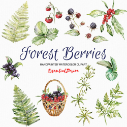 Watercolor Forest clipart, Berries clipart, Basket clipart, DIY ...