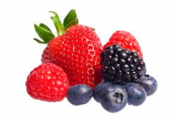 Tambo Gourmet Foods - Fruit Jams & Spreads