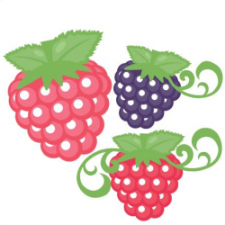 Berry Clipart | Free download best Berry Clipart on ClipArtMag.com