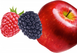 Apple Mixed Berry Simple Fruit Gels | Endurance Nutrition | PowerBar®