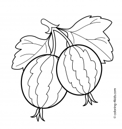 Two gooseberries fruits and berries coloring pages for kids ...